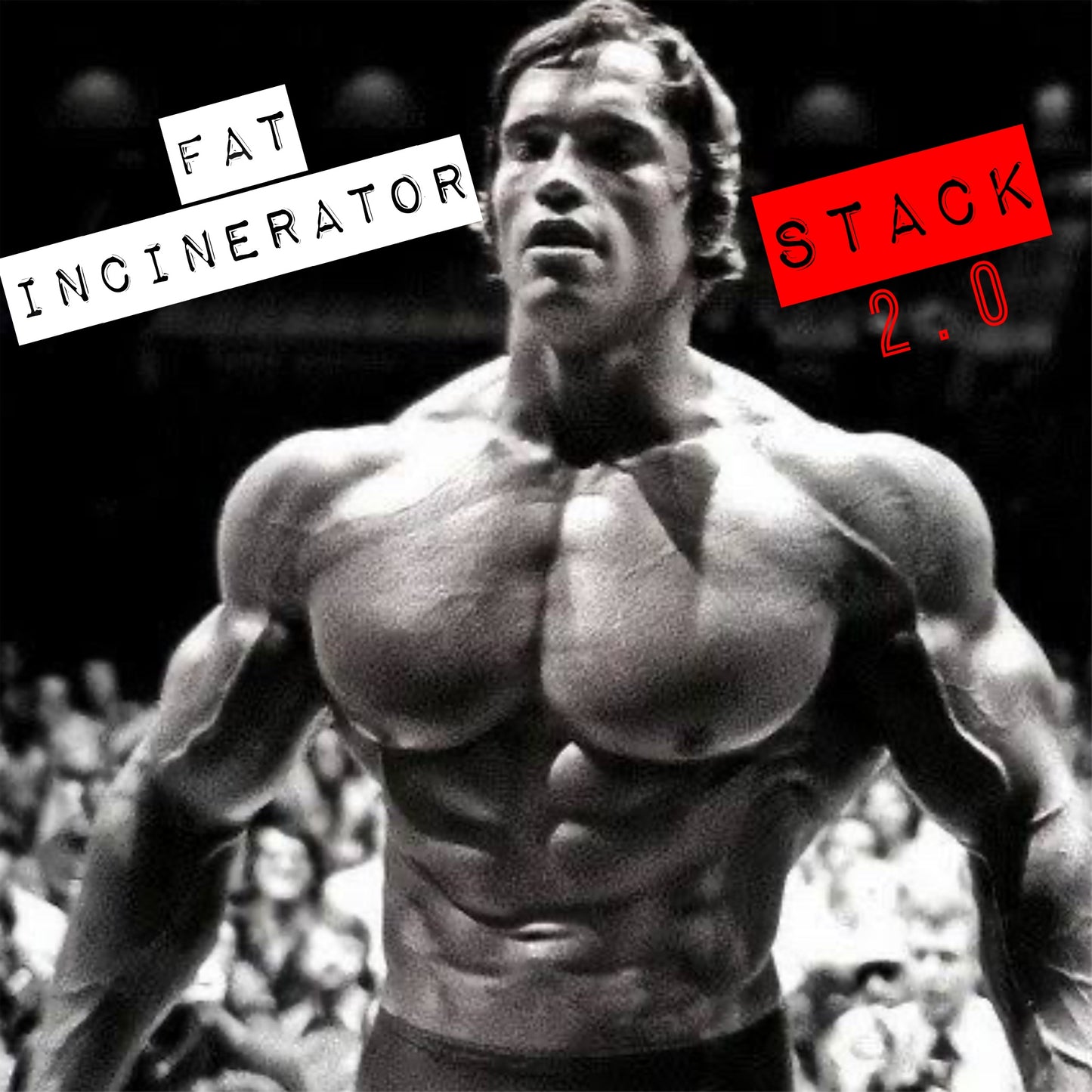 FAT INCINERATOR STACK 2.0